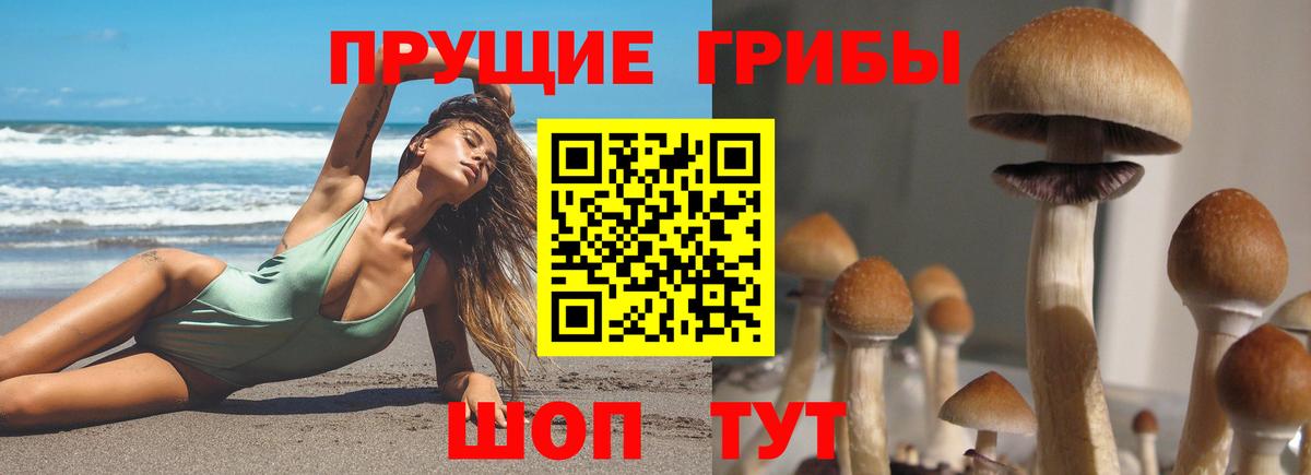 Галлюциногенные грибы мицелий  купить наркотики цена  Уварово  Вход с VPN 